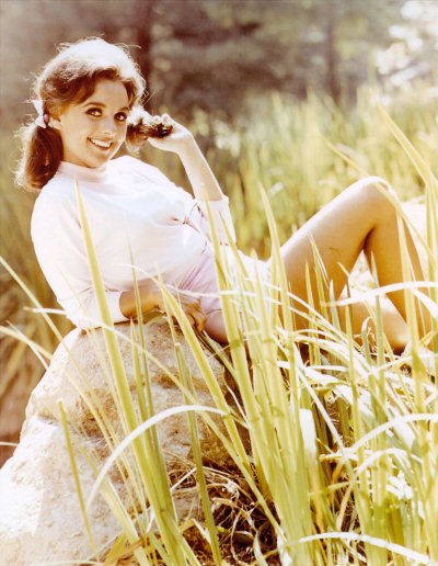 Dawn wells sexy pictures of Dawn Wells